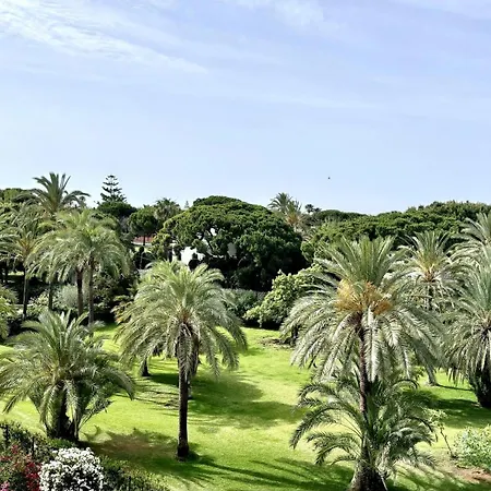 Estudio Panoramico En